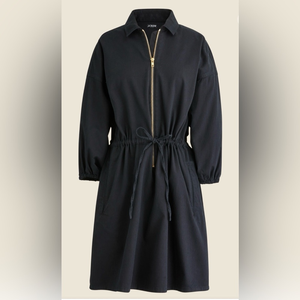 J.crew Cinch Waist Dress